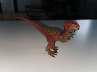 Schleich Dinosaurier Velociraptor aus Schädelfalle 42348  Dino Niedersachsen - Seesen Vorschau