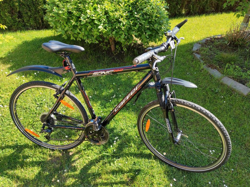 Fahrrad Trekking Herren Carver in Haselbachtal