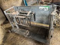 Vermietung PATURA Klauenbehandlungstand für Schafe Hessen - Wiesbaden Vorschau