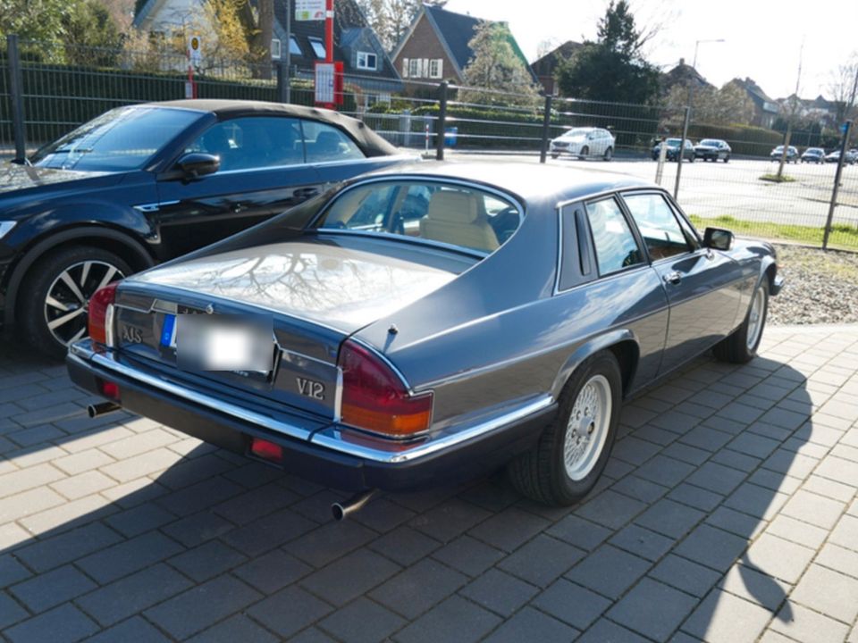 Jaguar XJS V12 Kat 1988 H-Zulassung TOP XJ-S in Krefeld