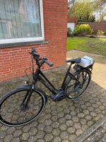 Damen E-bike Koga E-lement Nordrhein-Westfalen - Heinsberg Vorschau