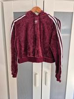 Adidas Crop Kapuzenpulli Kiel - Kiel - Damperhof Vorschau
