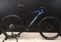 Cannondale Scalpel HT Carbon 2, Gr. L (NEU) UVP 4699€ Thüringen - Leinefelde Vorschau