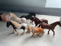 Schleich Pferde Hengst Figuren Spielzeug Kind Aktionfiguren Hessen - Großkrotzenburg Vorschau