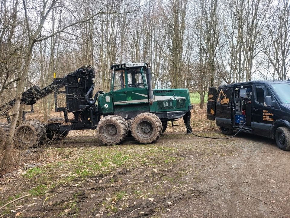 Durchforstung  Stockkauf. Wald forst in Werdau