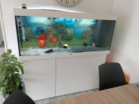 Aquarium 450L  nur komplett zur verkaufen Nordrhein-Westfalen - Grefrath Vorschau