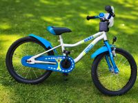 18 Zoll Kinder Jungen Fahrrad Kinderfahrrad Nordrhein-Westfalen - Hövelhof Vorschau