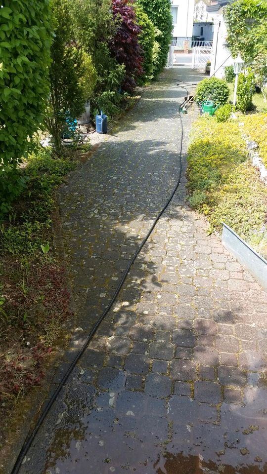 Fensterreinigung Gartenpflege Dachrinnenreinigung Renovierung Uvm in Vechta