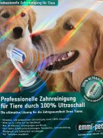 Zahnbürste für Hund Bayern - Geroldsgrün Vorschau