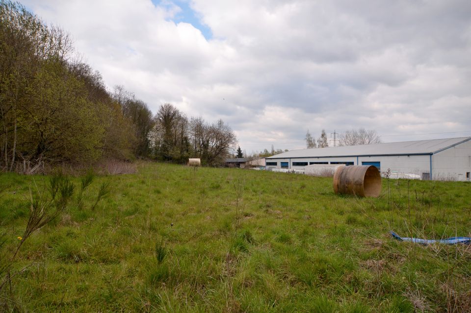 Logistisch gut ausgerichtete Gewerbefläche für eigenes Haus im Grünen – 2.692 m2 in Wasserliesch in Wasserliesch