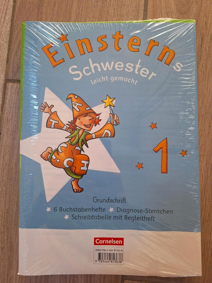 Einsterns Schwester Klasse 1 Leicht gemacht Grundschrift in Giesen