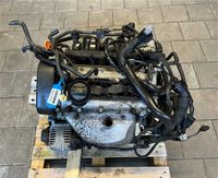 VW Golf 5 1.4 BCA Motor komplett Einbaufertig Nordrhein-Westfalen - Gladbeck Vorschau