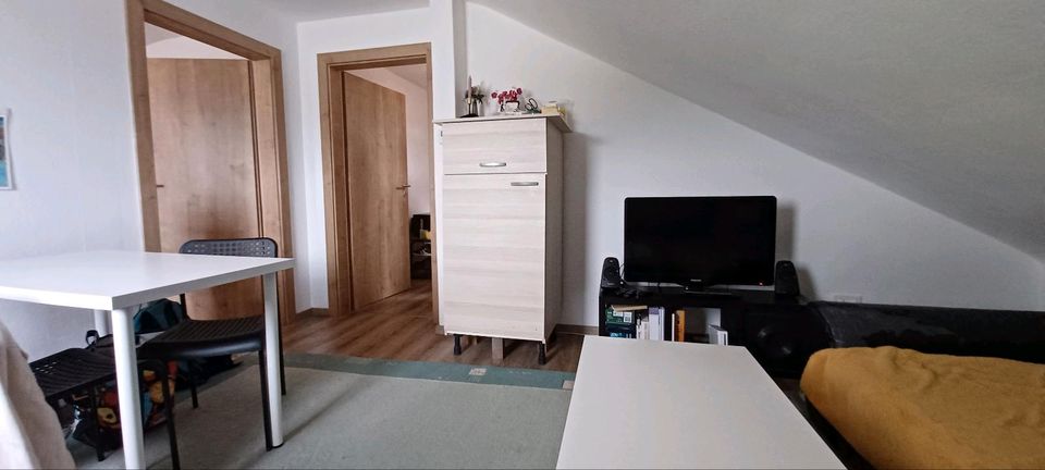 Renovierte 2 Zi.Wohnung in Hof-Moschendorf ab 1.Juli in Hof (Saale)