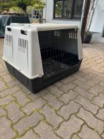 *Hundebox* Hessen - Nidda Vorschau