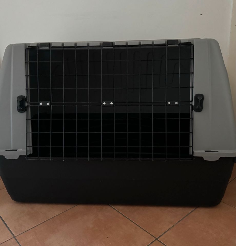 Hundetransportbox (Trixie Journey M) in Berlin