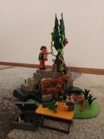 Playmobil Wild Life Ranger Tiger gut erhalten! Hessen - Raunheim Vorschau