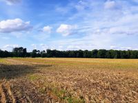 Landwirtschaftliche Flächen in Westmecklenburg Mecklenburg-Vorpommern - Dersenow Vorschau