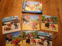 Ravensburger Puzzle 5+ Paw Patrol Top 3x49 Teile Bayern - Geroldshausen Vorschau