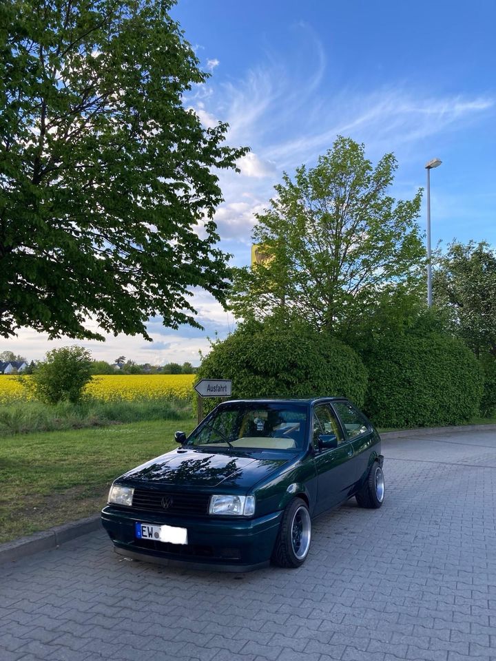 Volkswagen Polo 86C Coupé G40 in Ahrensfelde