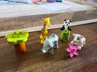 LEGO® DUPLO® Süße Tierkinder, 1094 Berlin - Marienfelde Vorschau