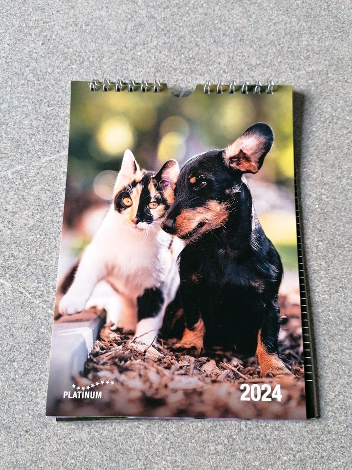 Kalender 2024 Hunde Katzen in Wickede (Ruhr)