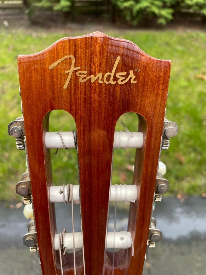 Gitarre Fender ESC105 in Bielefeld