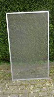 Fliegenschutzfenster Insektenschutzfenster Insektenschutz Nordrhein-Westfalen - Billerbeck Vorschau