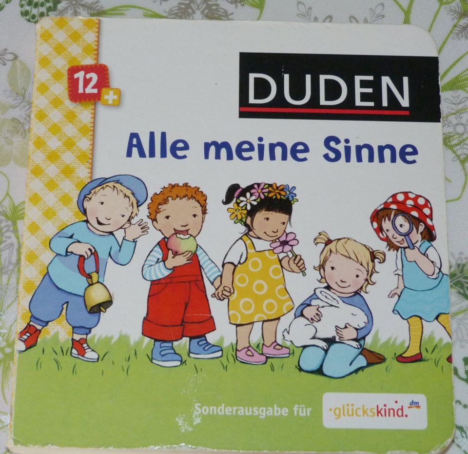 Alle meine Sinne Pappbuch von Duden (1A Zustand) in Auerbach (Vogtland)