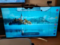 lg 55 Zoll 55SJ8509 smart tv super UHD kaputtes Display Baden-Württemberg - Göppingen Vorschau