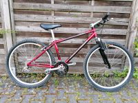 Mountainbike Diamond Back WCF 2.0 vintage retro Carbon Hessen - Hanau Vorschau