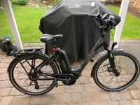 Damen E-Bike Winora N7 Sinus schwarz Rheinland-Pfalz - Fell Vorschau