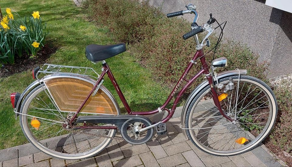 Damenrad, Fahrrad Panther Rahmengröße 17'', 26iger Reifengröße in Braunschweig