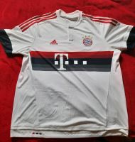 FC Bayern Tshirt Bayern - Altmannstein Vorschau