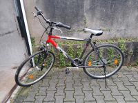 Zugreifen... Top Cross-bike, 21 Zoll Nordrhein-Westfalen - Gelsenkirchen Vorschau