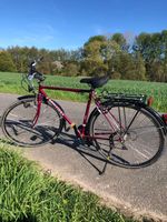 Fahrrad Herrenrad Treckingrad Sursee Tigra 28`` 21 Gänge Nordrhein-Westfalen - Blomberg Vorschau