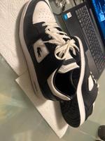 Lacoste Schuhen Dresden - Prohlis-Nord Vorschau