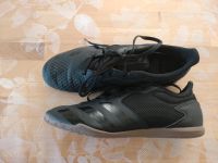 Adidas Predator Turnschuhe schwarz Gr. 42 2/3 Rheinland-Pfalz - Kastellaun Vorschau