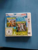 Nintendo 3 DS Pferd & Pony 2 in 1 Bayern - Mainburg Vorschau