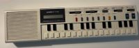 CASIO VL-Tone Synthesizer DaDaDa Findorff - Regensburger Straße Vorschau