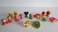 PAW PATROL Marshall - Rubble - Skye - Zuma - Rocky - ab 1€ Nordrhein-Westfalen - Paderborn Vorschau