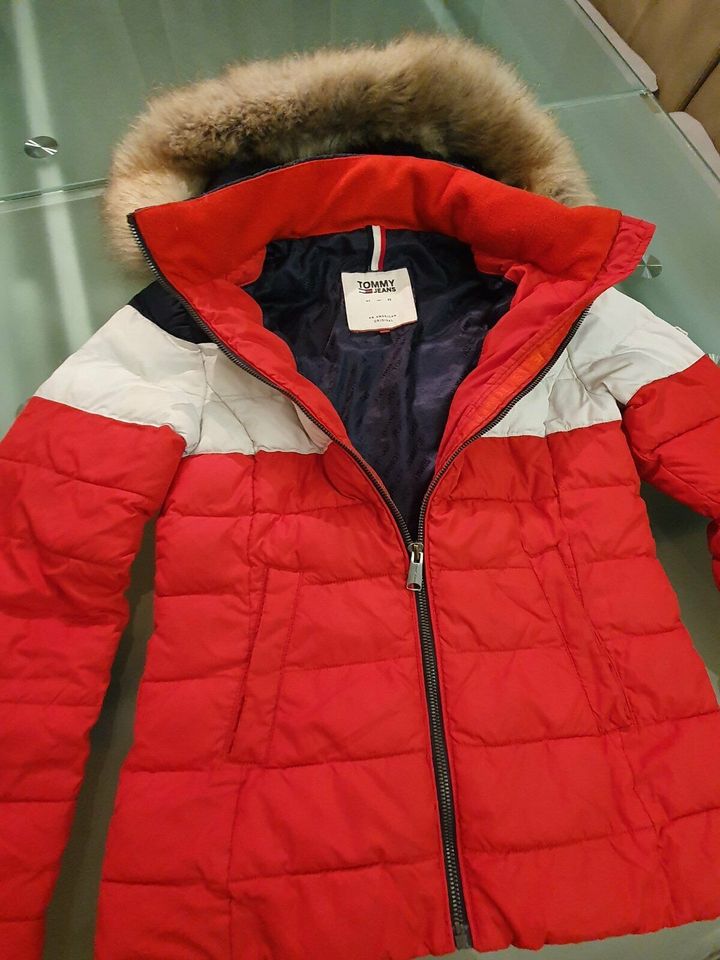 Tommy hilfiger Jacke gr. XS in Holzhausen an der Haide