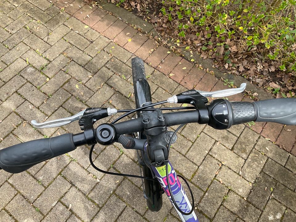 Fahrrad 26 Zoll mit 7 Gang Nabenschaltung in Wentorf