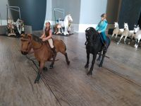 Schleich Reiter mit Pferd und Sattel Wandsbek - Hamburg Dulsberg Vorschau