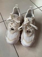 Steve Madden 39 Damen Sneaker Hessen - Elz Vorschau