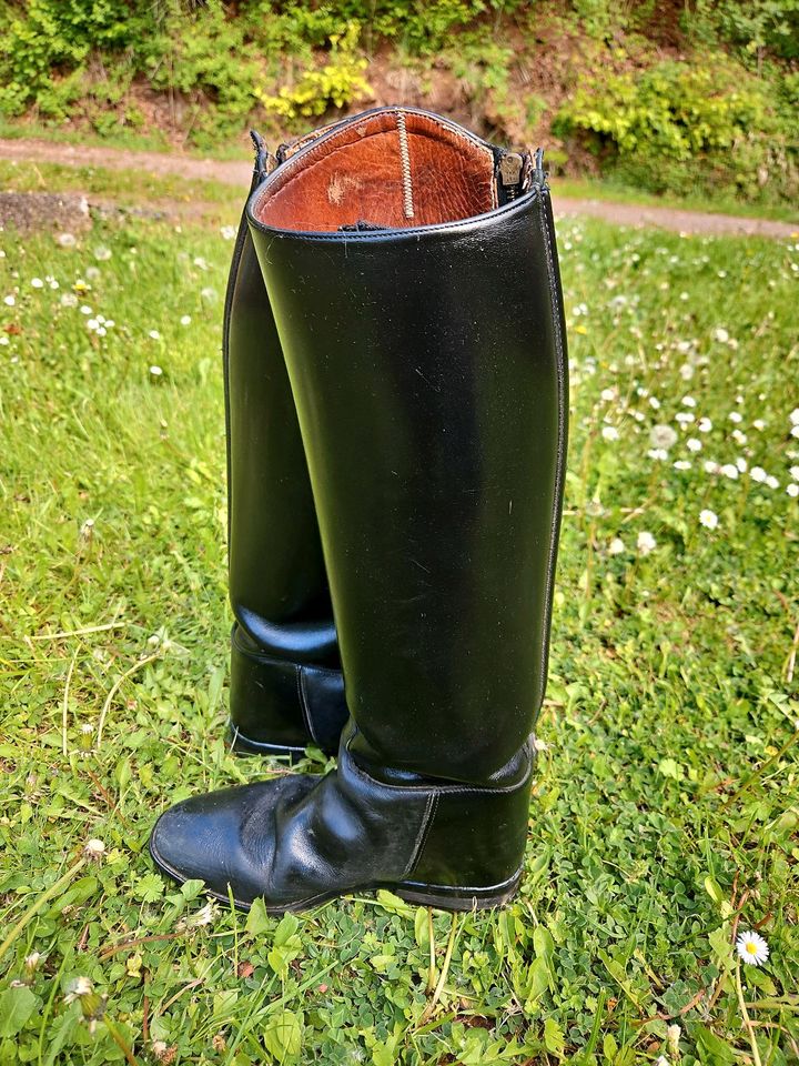 Reitstiefel von Petrie in Twistetal