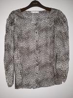 Bluse Leopardenprint von Mango Gr. XL NEU Münster (Westfalen) - Aaseestadt Vorschau