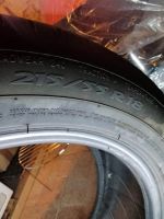 4 X Michelin Sommerreifen 215 / 55 R18 Sachsen-Anhalt - Coswig (Anhalt) Vorschau