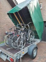 Fahrradanhänger Fahrrad Trailer Anhänger zu Vermieten E-Bike Niedersachsen - Haselünne Vorschau