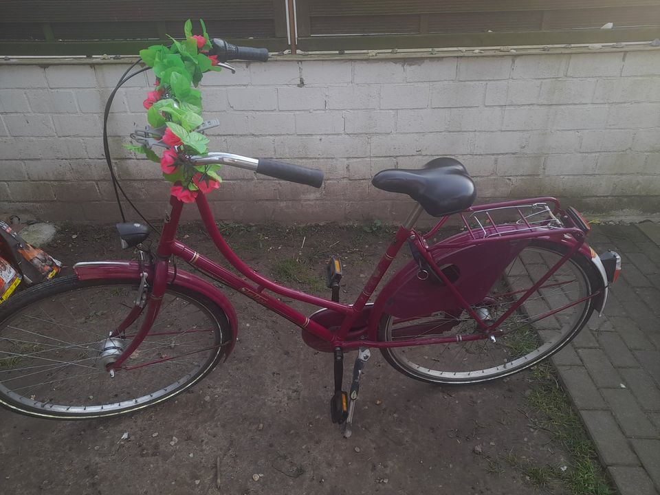 Holländer Damen Fahrrad in Geseke