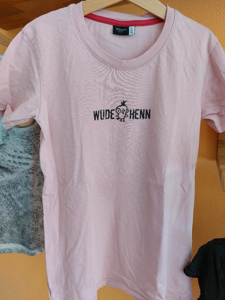 Kleines 4xTshirt Paket Next H&m Katze Amazing in Mörfelden-Walldorf